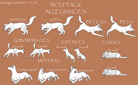 wolf pack ranks and roles